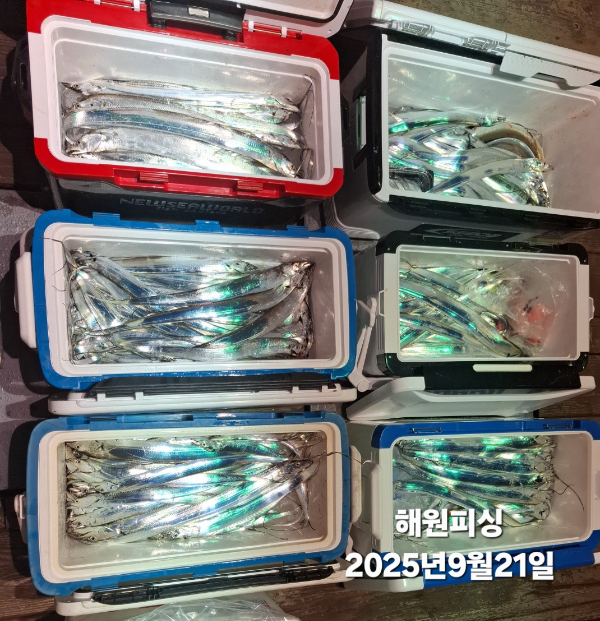 3df79db74f9482994a889b6ff75e1594.jpg