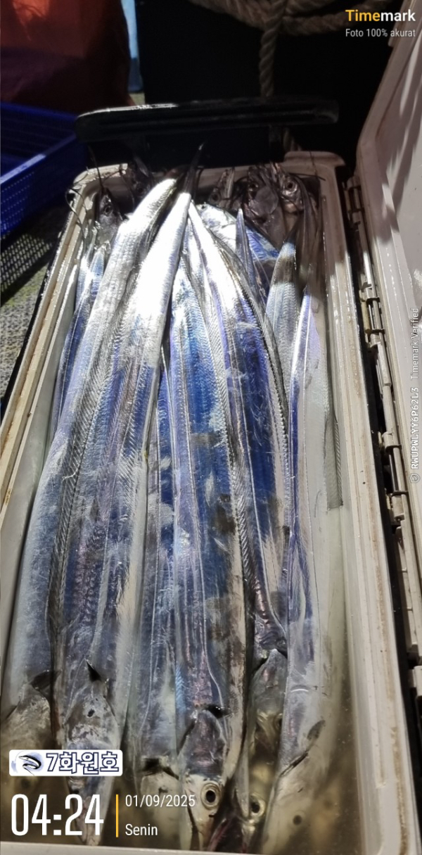 제주갈치낚시 화원호_사진_20250901_8.jpg