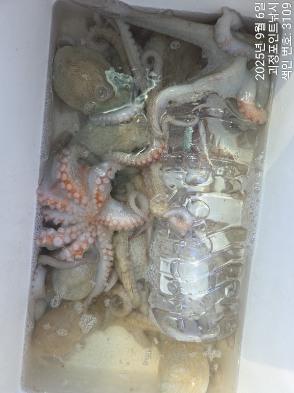 KakaoTalk_20250906_162825557_12.jpg