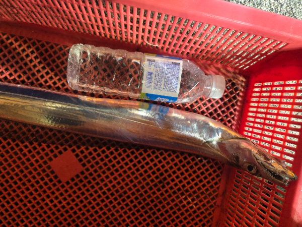 Resized_20250912_205742.jpeg