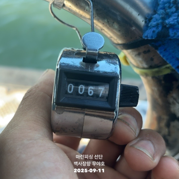 TC_08681.jpeg
