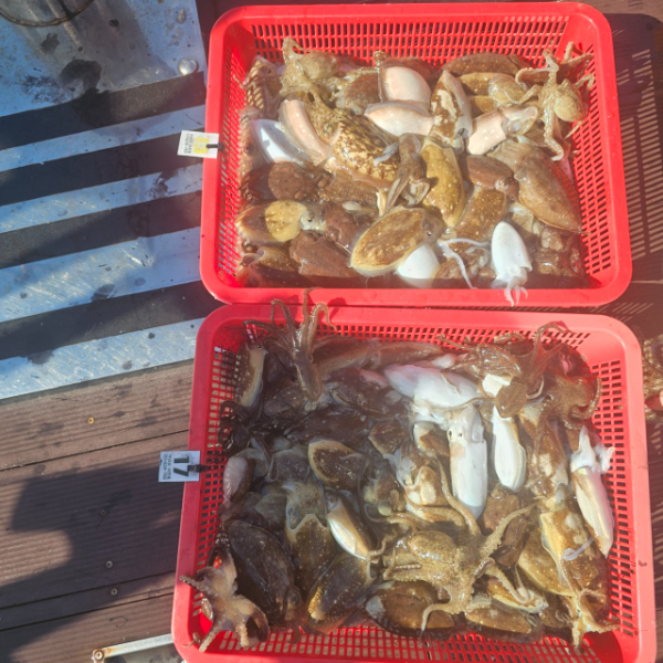 마검포 대한호(VIP)_사진_20250923_2.jpg