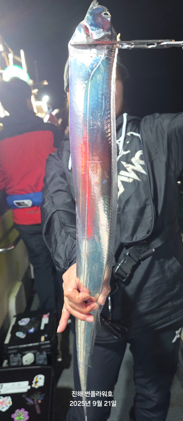 61849.jpg