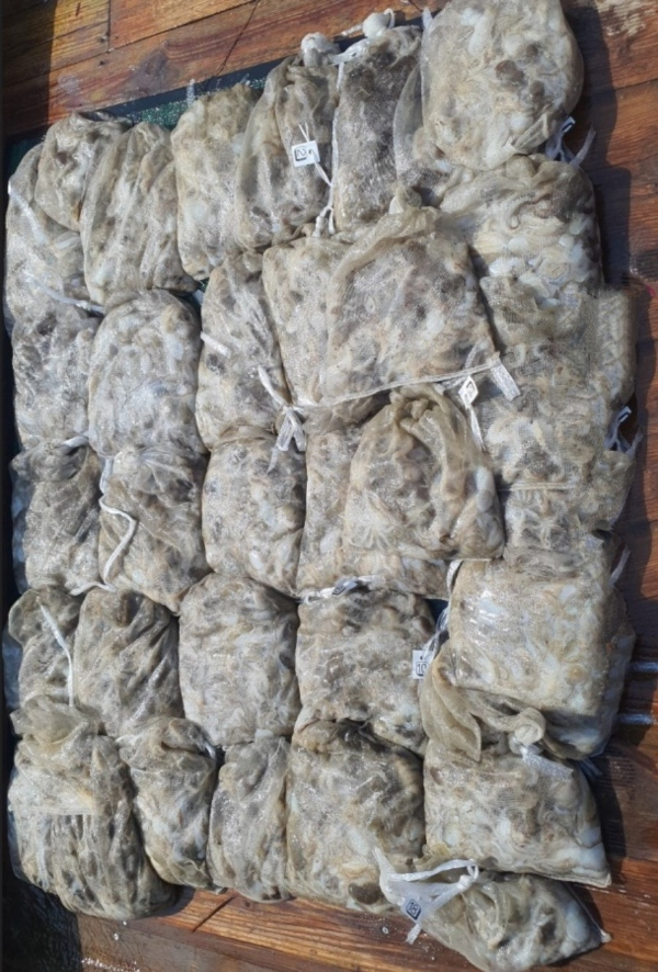 50 (1) - 복사본_b.jpg