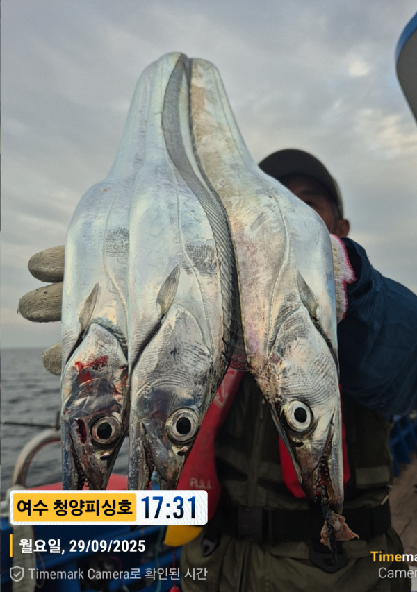 2025-09-29 17.31.55__(제목-여수 청양피싱호).jpg