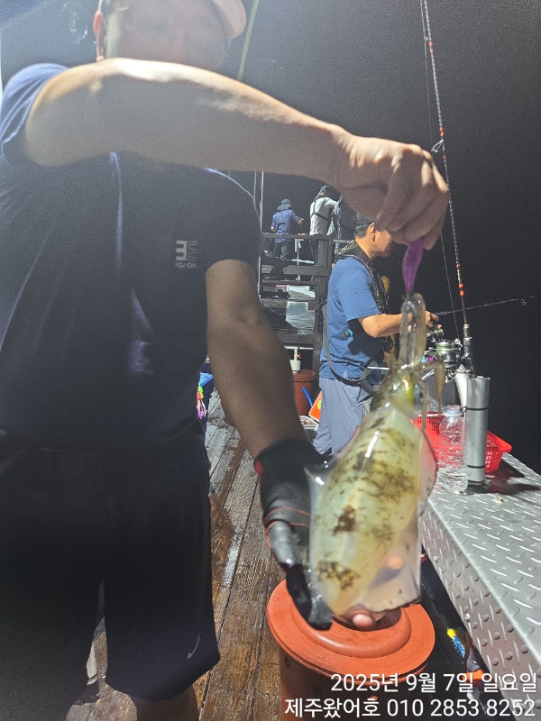 제주왔어호_사진_20250909_22.jpg