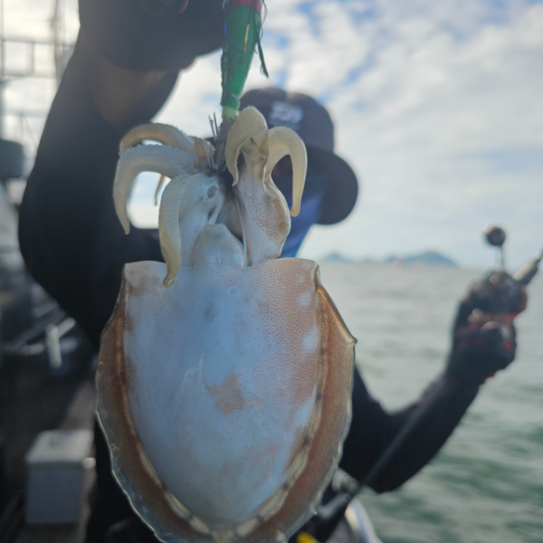 마검포 대한호(VIP)_사진_20250923_16.jpg