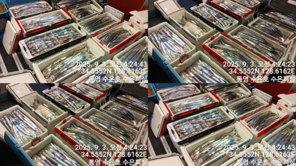 1756846339410-tile.jpg