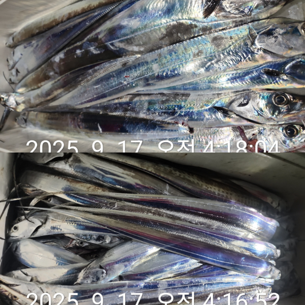 1000072346.jpg