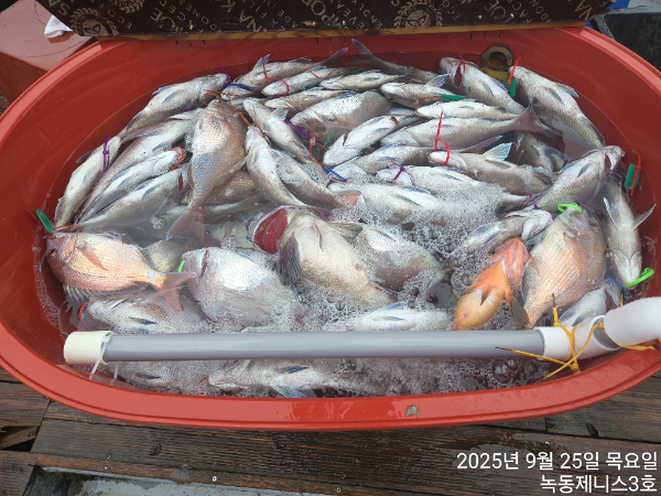 42ffefeda301459e1084d0c3e96334b3.jpg