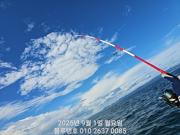 20250901_093122.jpg