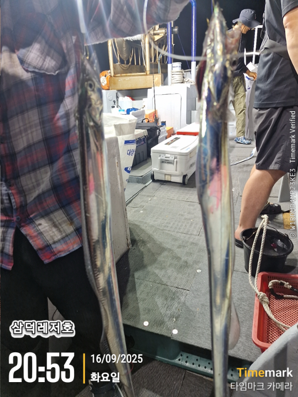 2025-09-16 20.53.55_.jpg