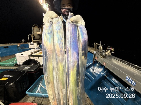 9월26일갈치 (16).jpg