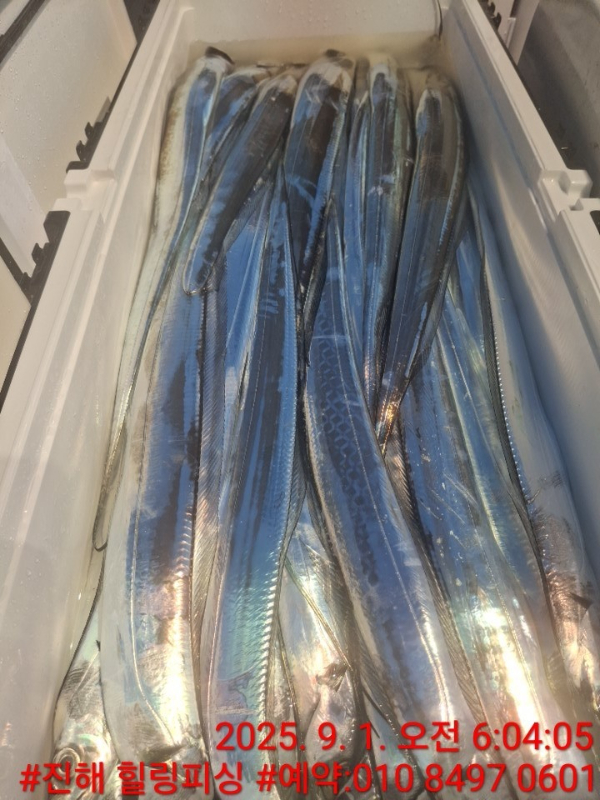 KakaoTalk_20250901_082511318_07.jpg
