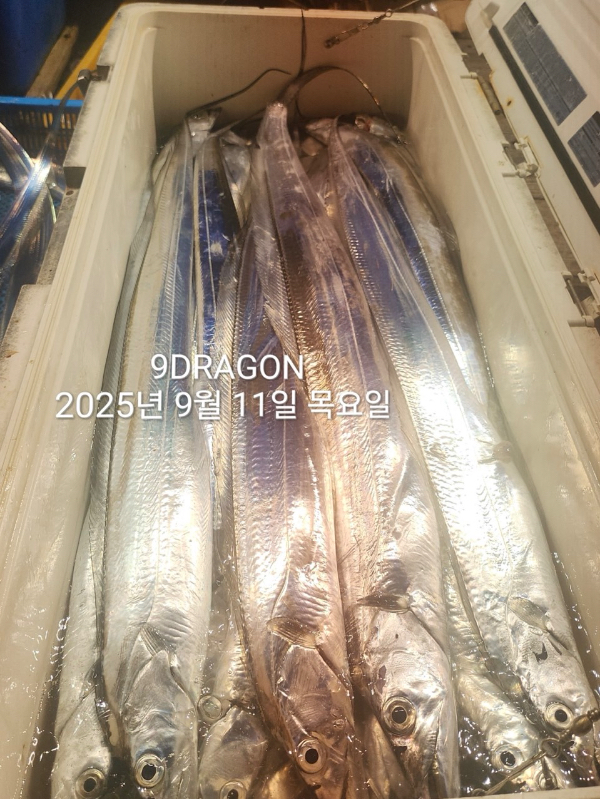 6750E776-4D89-4F38-96BC-8E7175A68CB1.jpeg