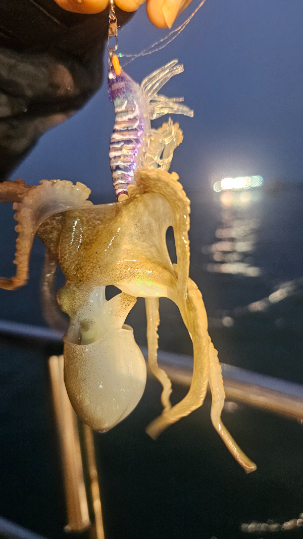 KakaoTalk_20250928_181438235_14.jpg