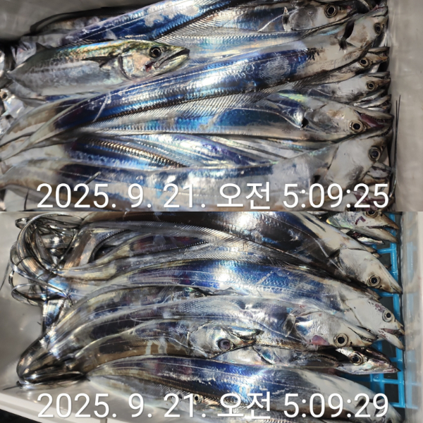 1000072526.jpg