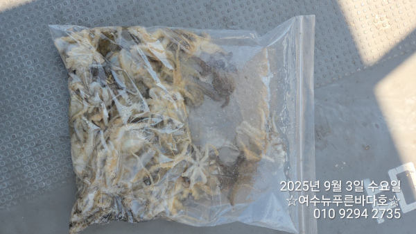 454c4f6397a31371d5a8c523f0bbc247.jpg
