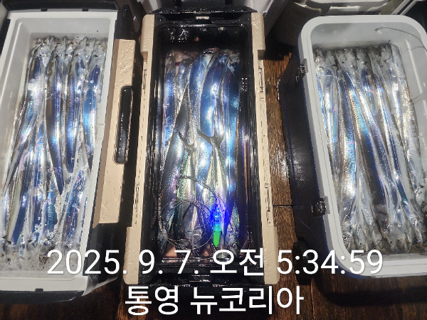1000071691.jpg