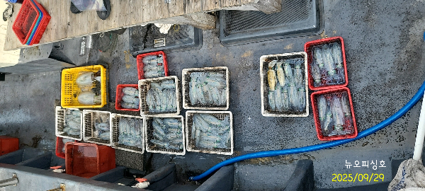 DateCamera0929100248.jpg