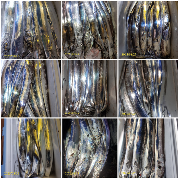 1756080636835.jpg