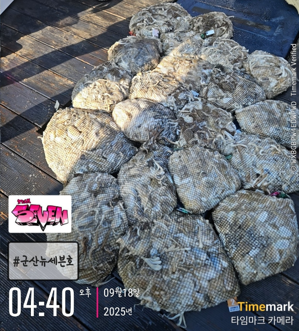 2_ff4Ud018svc16hbt4tl0zr5n_82sd02.jpg