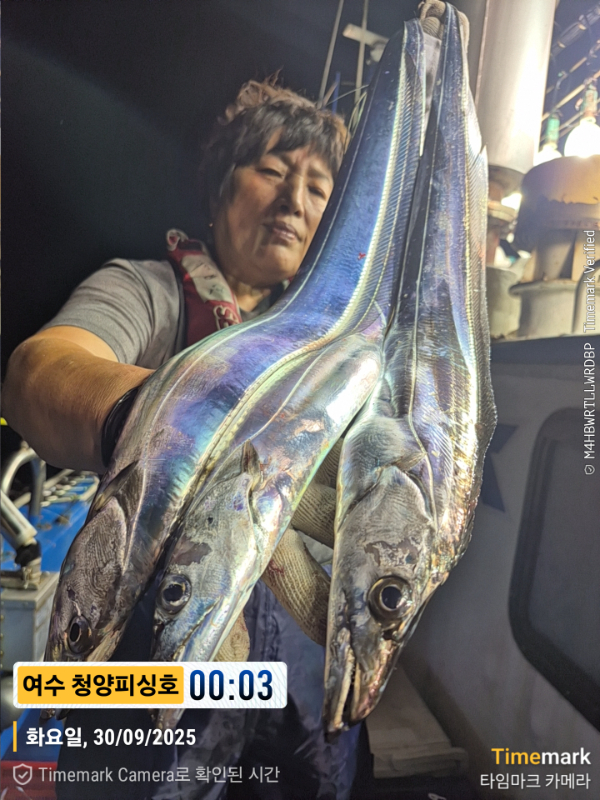 2025-09-30 00.03.19__(제목-여수 청양피싱호).jpg