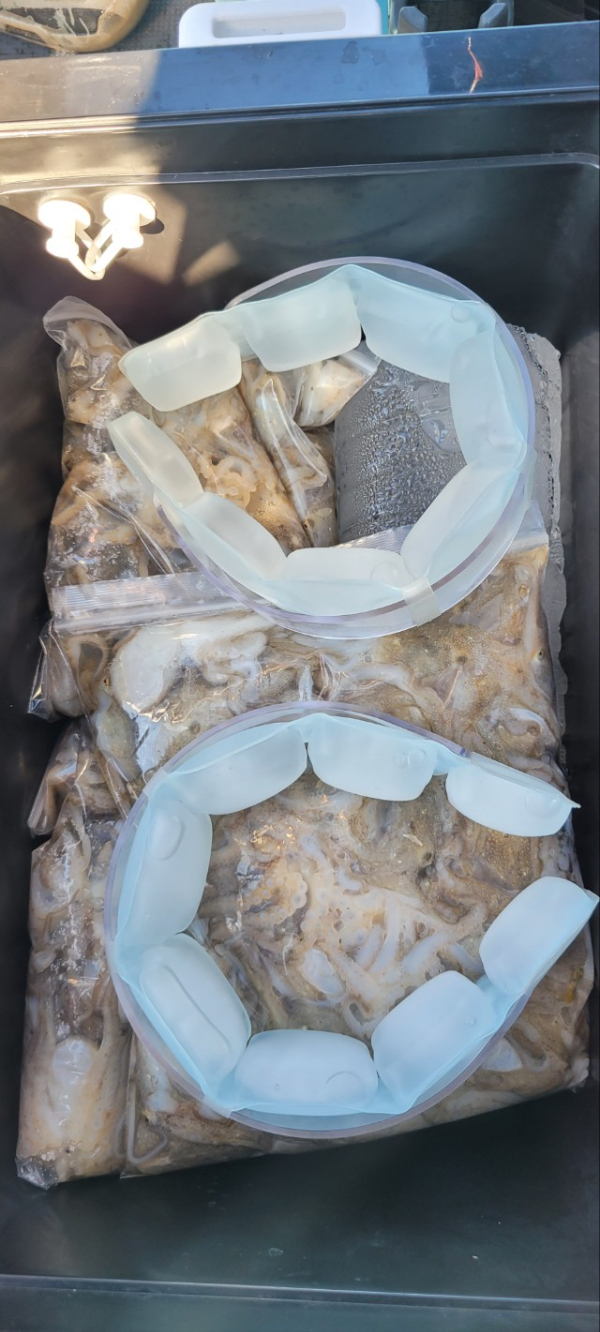 예지퀸호 농어외수질&어초낚시 경기인천권_사진_20250902_14.jpg