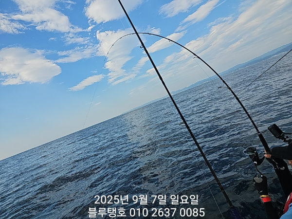 20250907_091900.jpg