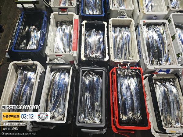 2025-09-17 03.12.29_Japan_(제목-뉴블루마린호)_(예약전화 010 8924 3131).jpg