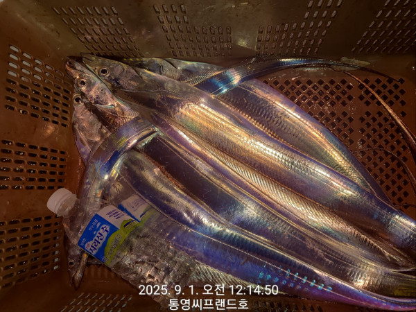 1756674061243.jpg