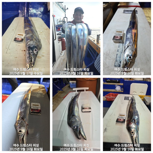 48cc55de4873cd454746635f381556da.jpg