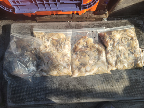 예지퀸호 농어외수질&어초낚시 경기인천권_사진_20250914_10.jpg