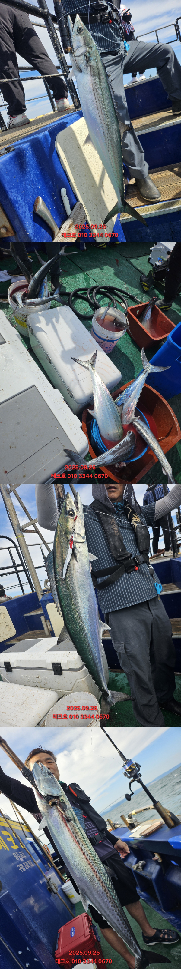 KakaoTalk_20250926_155949229_18-vert.jpg