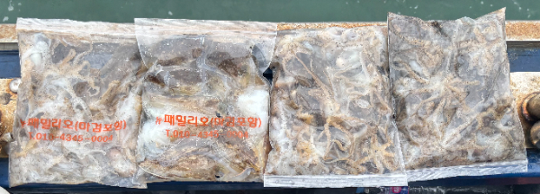 1000011300.jpg