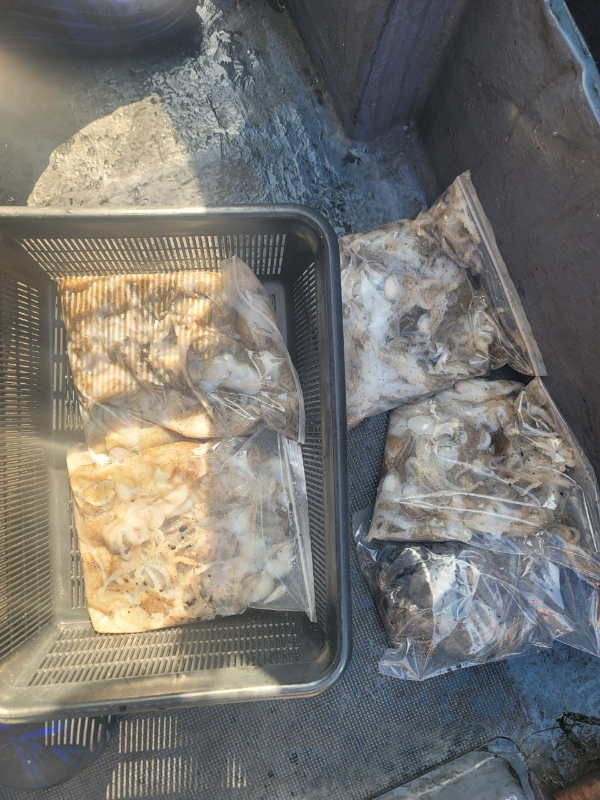 예지퀸호 농어외수질&어초낚시 경기인천권_사진_20250914_9.jpg