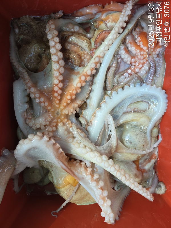 KakaoTalk_20250903_154807175_08.jpg
