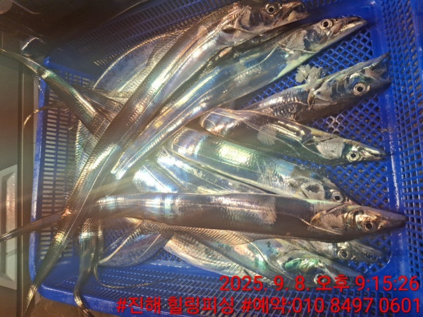 KakaoTalk_20250908_215743671_02.jpg