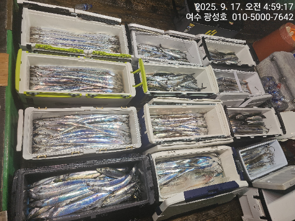 KakaoTalk_20250917_134708005_13.jpg