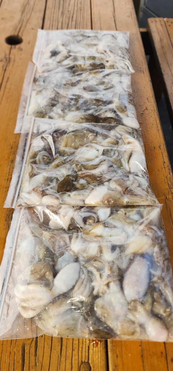 예지퀸호 농어외수질&어초낚시 경기인천권_사진_20250904_6.jpg