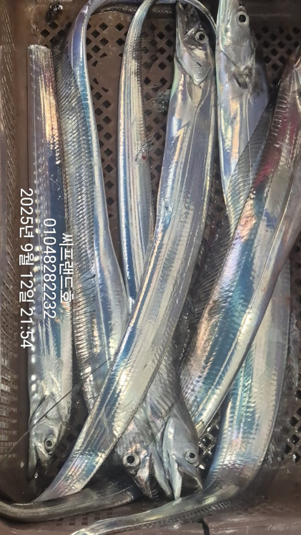 1757716286703.jpg