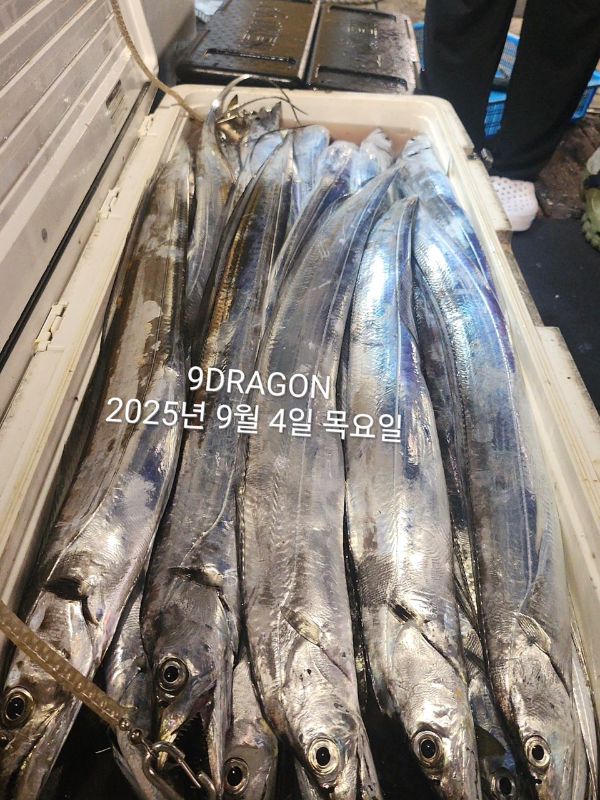 DB0A8A32-1DBC-418C-BEC6-20B42CF1541F.jpeg