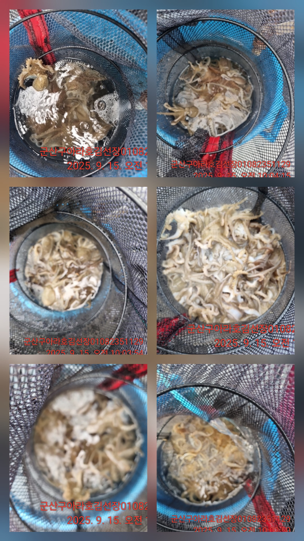 1000051508.jpg
