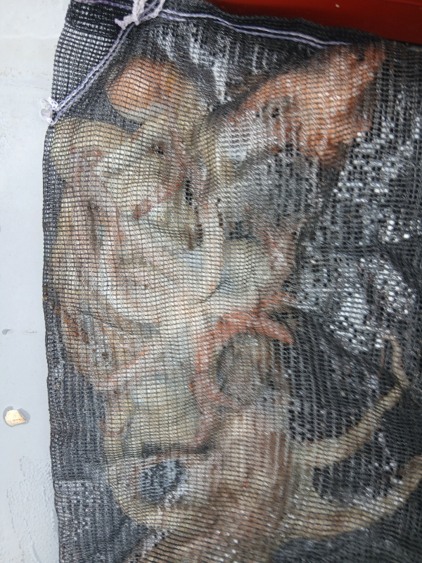 4e5dd32a5881f8e65f06f6cd6136902a.jpg