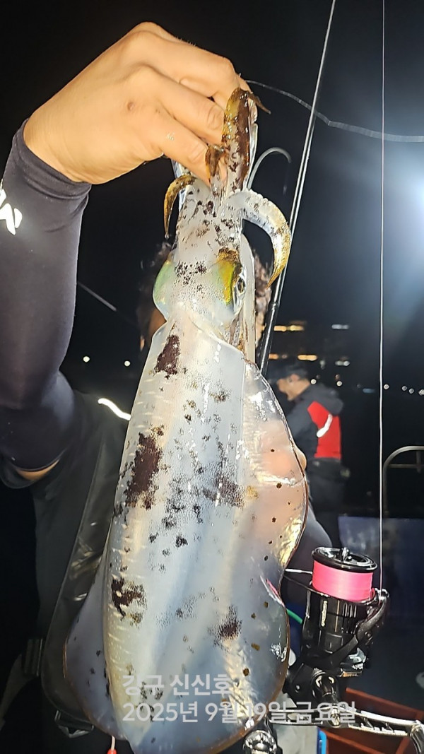 신신낚시 강구점 신신호_사진_20250920_9.jpg