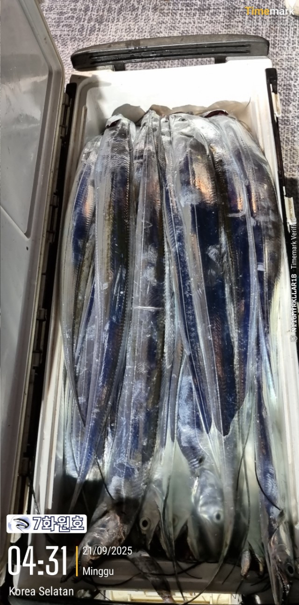 D8E9235D-D5AB-48B4-A39E-E16586914215.jpeg