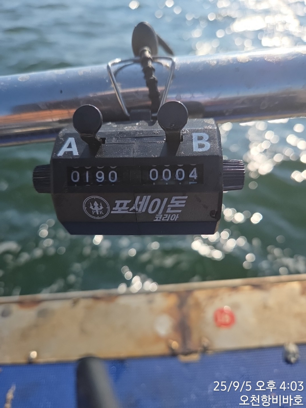 1000026499.jpg