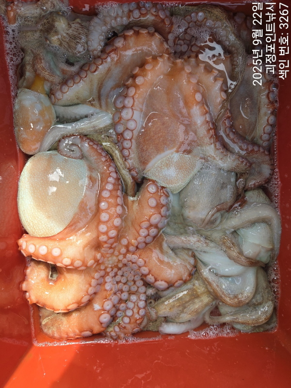 KakaoTalk_20250922_154324351_07.jpg