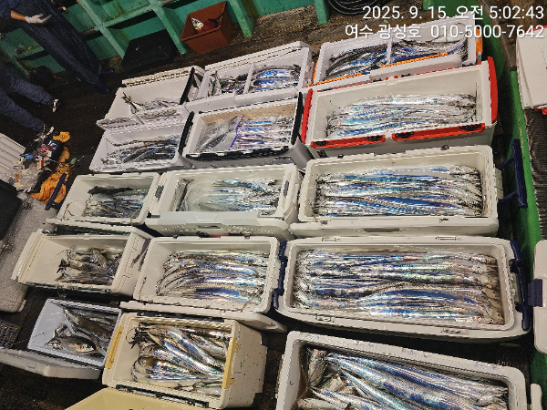 KakaoTalk_20250915_100834010_07.jpg