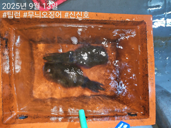 신신낚시 강구점 신신호_사진_20250913_12.jpg